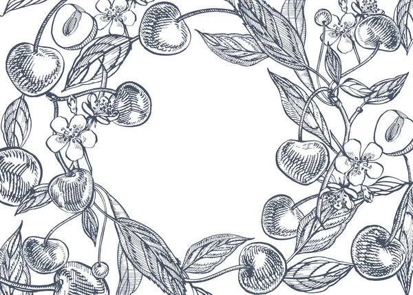 Conjunto de cerezas. Baya dibujada a mano aislada sobre fondo blanco. Fruta de verano grabado estilo ilustración. Ideal para etiquetas, póster, impresión . — Foto de Stock