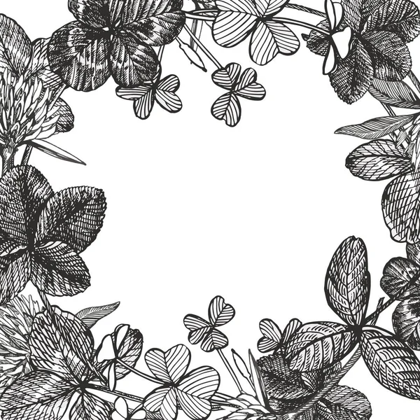 Ilustración de flores de trébol gráfico dibujado a mano. Hierba botánica pintada de tres hojas, aislada sobre fondo blanco. Feliz día de San Patricio s composiciones de tarjetas . —  Fotos de Stock