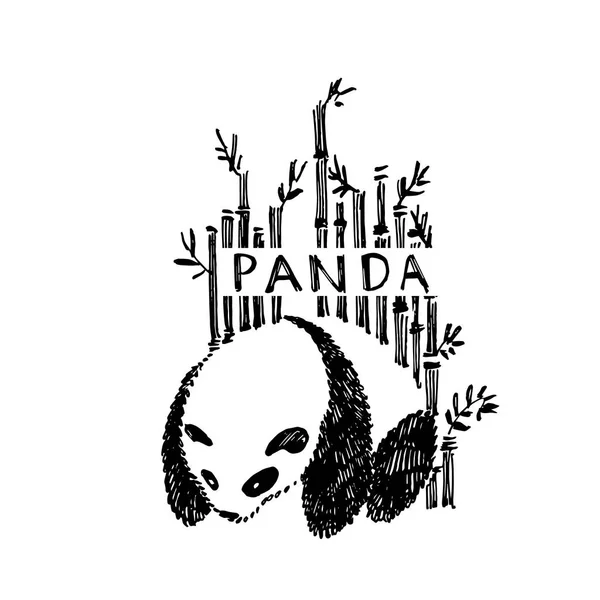 Handritad Panda med bambu. Grafisk illustration isolerad på vitt. Panda logo design inspiration. — Stockfoto