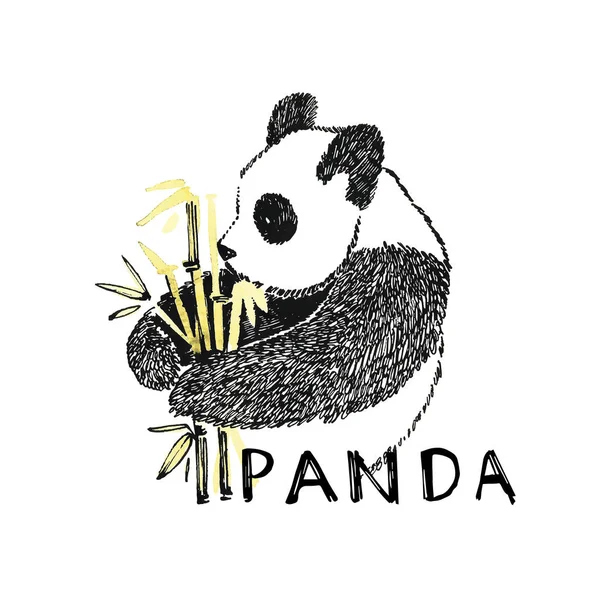 Hand drawn panda with bamboo. Graphic illustration isolated on white. Panda Logo Design Inspiration.