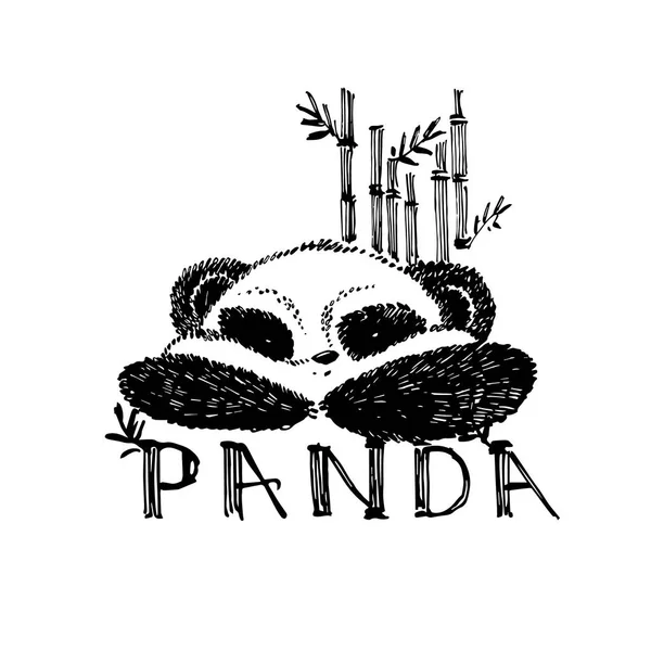 Hand drawn panda with bamboo. Graphic illustration isolated on white. Panda Logo Design Inspiration.