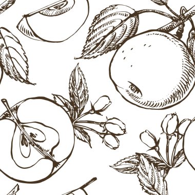 Elma illüstrasyon. Dokulu elma Illustration ile el çizilmiş desenler. Vintage botanik el çizilmiş illüstrasyon. Elma ağacının bahar çiçekleri. Dikişsiz desenler.