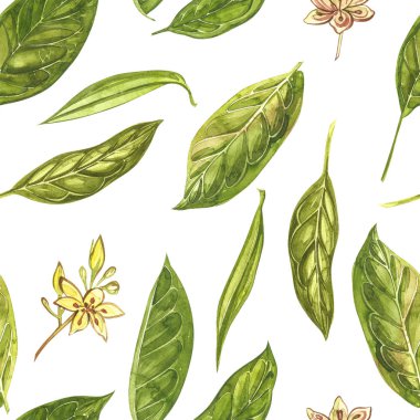 Avokado suluboya el çizmek çizim beyaz arka planda izole. El çizilmiş avokado Dikişsiz desen.