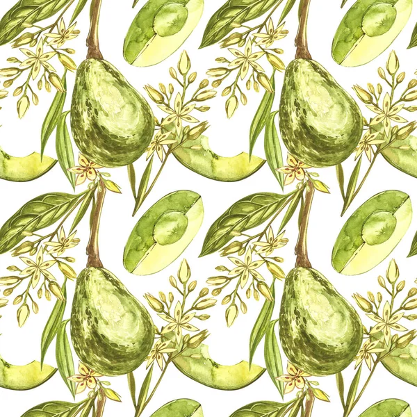 Aguacate acuarela mano dibujar ilustración aislada sobre fondo blanco. Patrón sin costura de aguacate dibujado a mano . —  Fotos de Stock