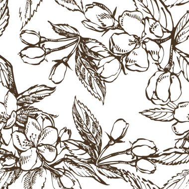 Elma illüstrasyon. Dokulu elma Illustration ile el çizilmiş desenler. Vintage botanik el çizilmiş illüstrasyon. Elma ağacının bahar çiçekleri. Dikişsiz desenler.