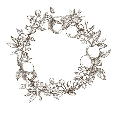 Elma illüstrasyon. Dokulu elma Illustration ile el çizilmiş desenler. Vintage botanik el çizilmiş illüstrasyon. Elma çiçeği dalları. Çiçek çelenk. Grafik yuvarlak kenarlık.