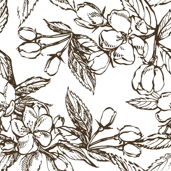 Apple illustration. Hand drawn patterns with textured apple illustration. Vintage botanical hand drawn illustration. Spring flowers of apple tree. Seamless patterns.