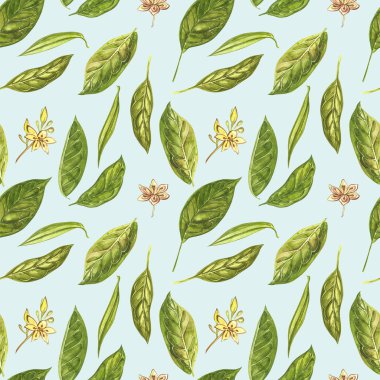 Avokado suluboya el çizmek çizim beyaz arka planda izole. El çizilmiş avokado Dikişsiz desen.