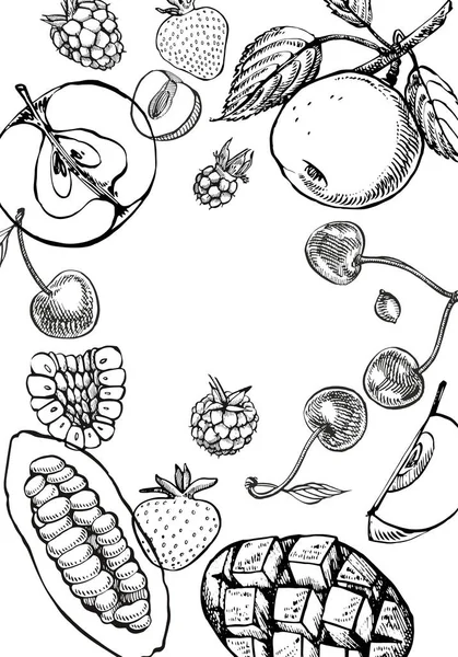 Ensemble d'illustrations botaniques graphiques. Mangue Fruits, Cacao et Baies fraise, framboise, pomme, cerise isolée sur fond blanc . — Photo