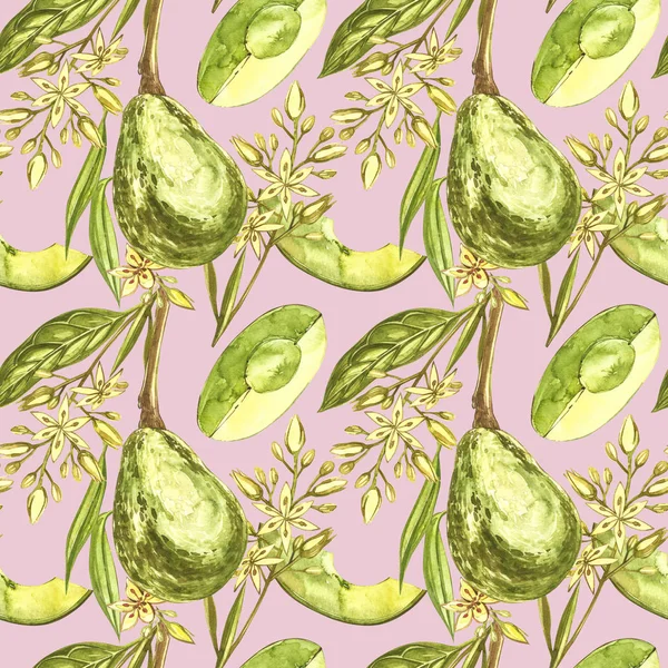 Aguacate acuarela mano dibujar ilustración aislada sobre fondo blanco. Patrón sin costura de aguacate dibujado a mano . —  Fotos de Stock