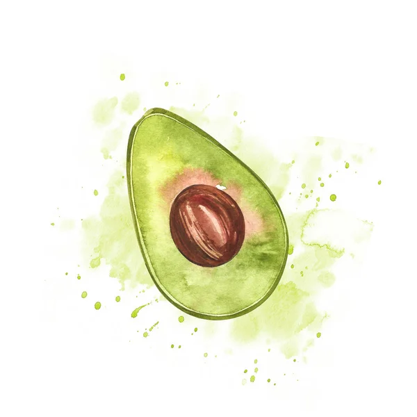 Avocado aquarela desenho mão ilustração isolado no fundo branco . — Fotografia de Stock