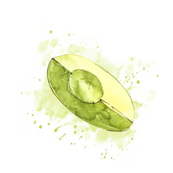 Avocado aquarela desenho mão ilustração isolado no fundo branco . — Fotografia de Stock