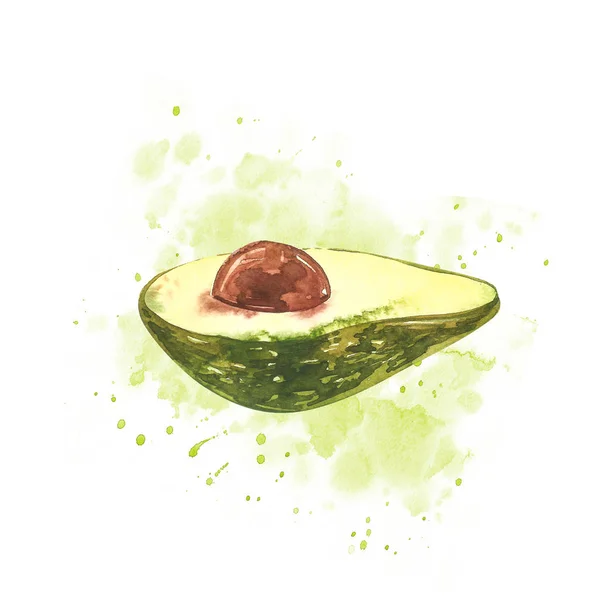 Avocado aquarel hand tekenen illustratie geïsoleerd op witte achtergrond. — Stockfoto