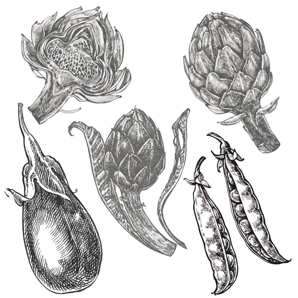Hand drawn sketch eggplant, peas and artichoke. Illustration isolated on white background. Farm fresh ecological vegetables artwork. — Stock Photo, Image