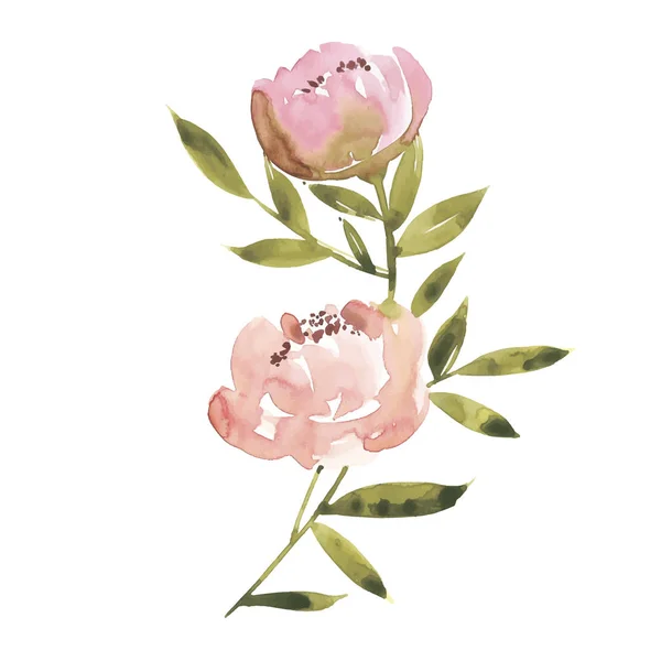 花の水彩画イラスト。母の日、結婚式、誕生日、イースター、バレンタインデー. — ストック写真