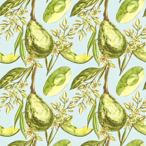 Aguacate acuarela mano dibujar ilustración aislada sobre fondo blanco. Patrón sin costura de aguacate dibujado a mano . —  Fotos de Stock