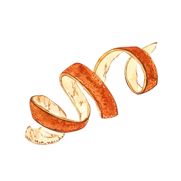 Апельсинова шкірка акварельна ботанічна рука намальовані ілюстрації . — стокове фото