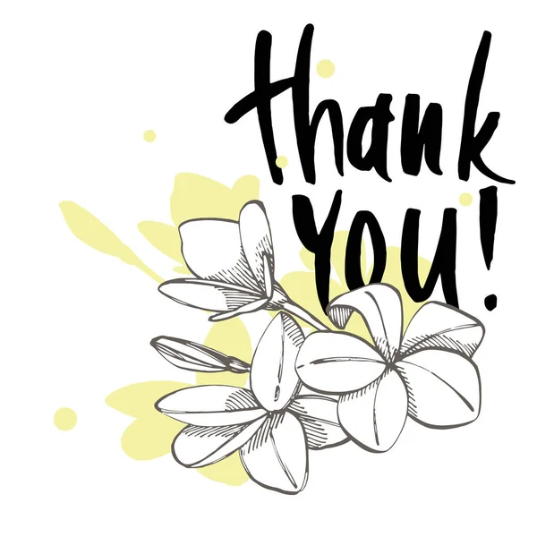 Hand drawn lettering. Thank You calligraphy. Plumeria illustration. — Stock Photo, Image