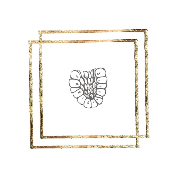 Conjunto de frambuesa dibujado a mano aislado sobre fondo blanco. Ilustración gráfica de estilo retro sketch. Marco de oro . —  Fotos de Stock