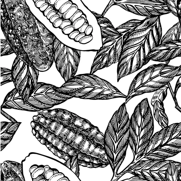 Ramo di cacao modello senza soluzione di continuità. Illustrazione isolata disegnata a mano su sfondo bianco. Alimenti biologici sani . — Foto Stock