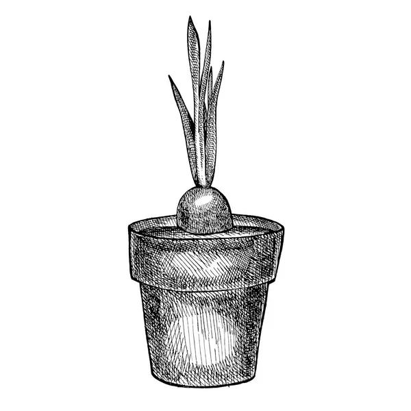 Grafic ilustração de ferramentas de jardim. Isolado sobre fundo branco . — Fotografia de Stock