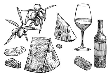 Asma ürünleri seti. Çizim stilinde çizim. Elle çizilmiş tasarım elemanları. Beyaz arka planda izole edilmiş. Gravür stili çizimler.