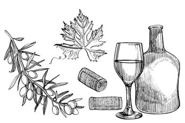 Asma ürünleri seti. Çizim stilinde çizim. Elle çizilmiş tasarım elemanları. Beyaz arka planda izole edilmiş. Gravür stili çizimler.