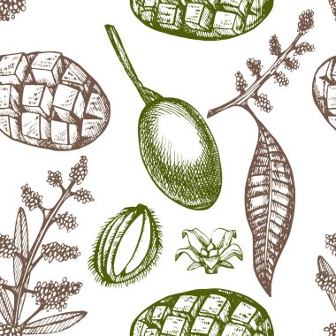 El çizilmiş mango meyve yapraklar ve mango dilimleri ve küpleri ile ayarlayın. Eskiz tarzı meyve illüstrasyon beyaz arka plan üzerinde izole. Organik gıda.