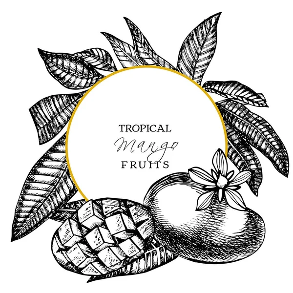 Návrhová šablona z mango stromu. Botanický mango ovocný rám. Mango, ryté. Grafická ilustrace. — Stock fotografie