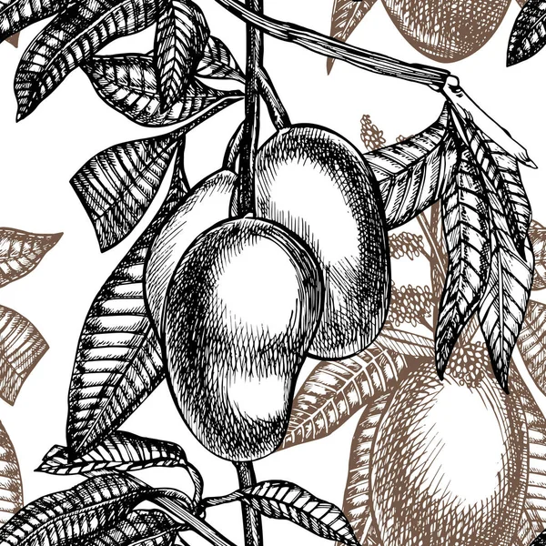 Ręcznie rysowane mango owoce zestaw z liści i mango plastry i kostki. Szkic owoc styl ilustracja na białym tle. Żywność ekologiczna. — Zdjęcie stockowe