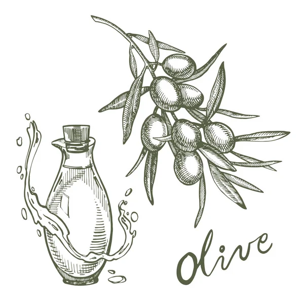 Une branche d'olives mûres est juteuse versée avec de l'huile. Conception de menu de marché des agriculteurs. Affiche alimentaire biologique. Illustration de croquis vintage dessiné à la main. Graphique linéaire . — Photo