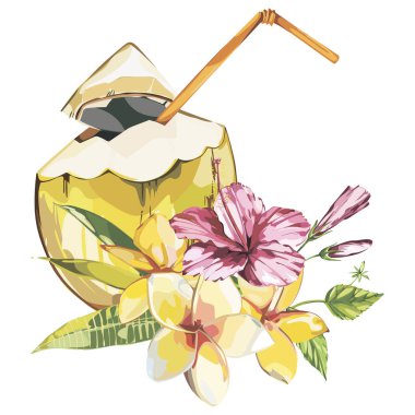 Hindistan cevizi el plumeria ve pembe ebegümeci çiçekleri ile çizim çizilmiş. Suluboya tropikal gıda illüstrasyon. Beyaz arka planda yalıtılmış.
