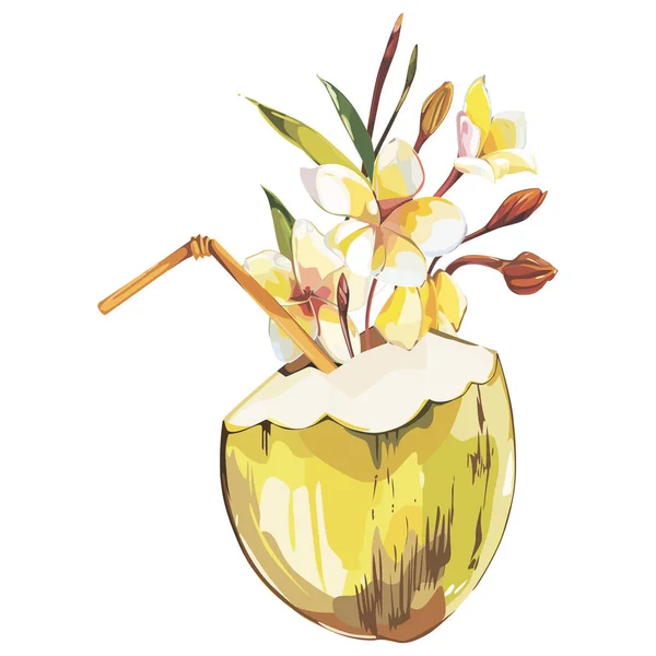 Esboço desenhado à mão de coco com flores de plumeria. Watercolor ilustração de comida tropical. Isolado sobre fundo branco . — Fotografia de Stock