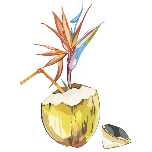 Croquis de noix de coco dessiné à la main avec des fleurs de strelitzia. Illustration alimentaire tropicale aquarelle. Isolé sur fond blanc . — Photo
