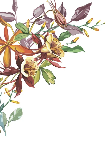 Zomer bloem frame in een aquarel stijl geïsoleerd. Volledige naam van de plant: Crocosmia, Aquilegia. Aquarelle bloem kan worden gebruikt voor de achtergrond, textuur, wrapper patroon, frame of rand. — Stockfoto
