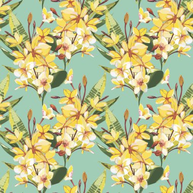 Plumeria çiçekleri ile vintage tarzda şıklık dikişsiz desen. Tropikal illüstrasyonlar.