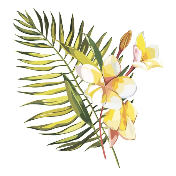 Bannière, affiche avec fleurs de plumeria, feuille de jungle. Beau fond tropical floral d'été . — Photo