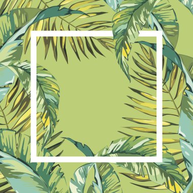 Afiş, palmiye yaprakları, orman yaprağı ile poster. Güzel çiçek tropikal yaz arka plan.