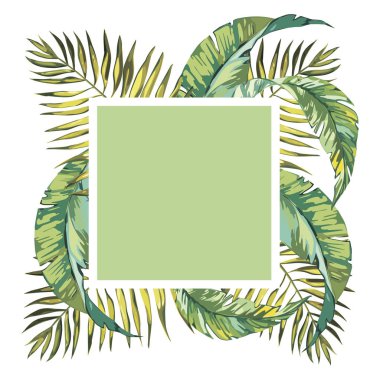 Afiş, palmiye yaprakları, orman yaprağı ile poster. Güzel çiçek tropikal yaz arka plan.