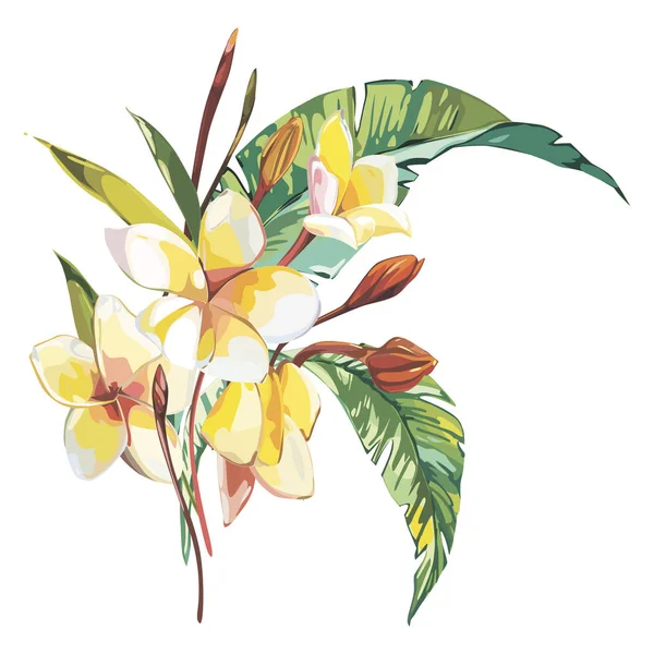 Banner, plakat z kwiatami Plumeria, liść dżungli. Piękne kwiatowe tropikalne lato tło. — Zdjęcie stockowe