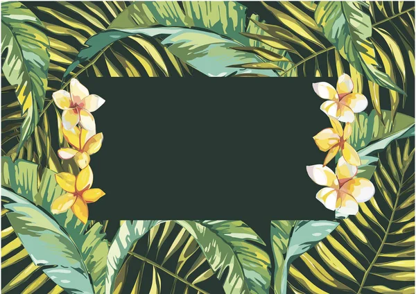 Banner, póster con hojas de palma, hoja de la selva. Hermoso fondo de verano tropical floral . —  Fotos de Stock