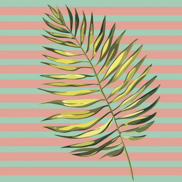 トロピカルヤシの葉のイラスト。ジャングルの葉は白い背景に隔離. — ストック写真