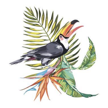 Toucan tropik çiçekler STERLİÇYA ile. Tasarım davetiye, film afişleri, kumaşlar ve diğer nesneler için öğe. Beyaz izole.