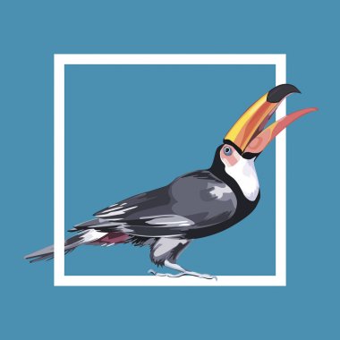 Siyah toucan suluboya illüstrasyon izole beyaz arka plan üzerinde.