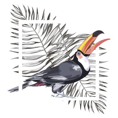 Toucan tropikal çiçek ve yaprak ile. Tasarım davetiye, film afişleri, kumaşlar ve diğer nesneler için öğe. Beyaz izole.