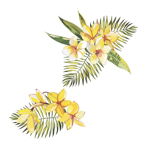 Banner, poster met Plumeria bloemen, jungle blad. Prachtige bloemen tropische zomer achtergrond. — Stockfoto