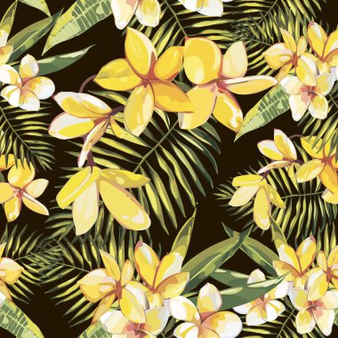 Plumeria çiçekleri ile vintage tarzda şıklık dikişsiz desen. Tropikal illüstrasyonlar.