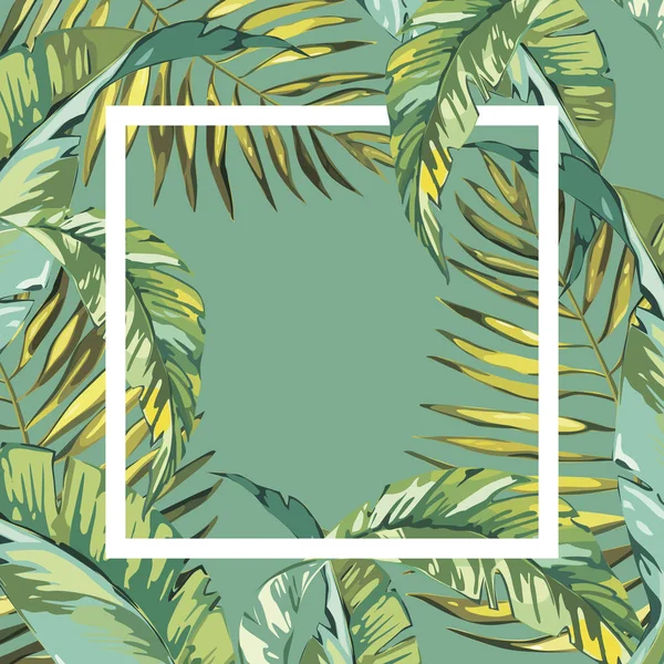 Banner, póster con hojas de palma, hoja de la selva. Hermoso fondo de verano tropical floral . —  Fotos de Stock