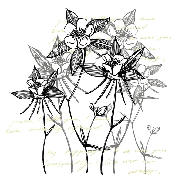 Flores de Columbine duplas. Coleção de flores e plantas desenhadas à mão. Botânica. Preparado. Flores vintage. Ilustração em preto e branco no estilo de gravuras . — Fotografia de Stock