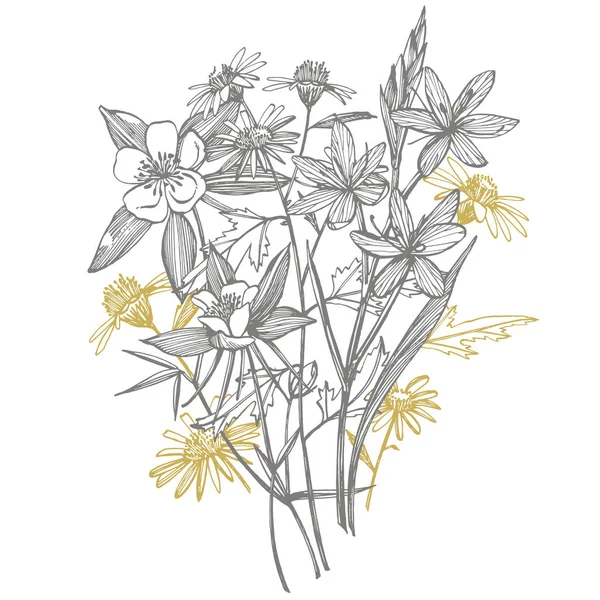 Collection de fleurs et de plantes dessinées à la main. Botanique. Prêt. Fleurs anciennes. Illustration en noir et blanc dans le style des gravures . — Photo